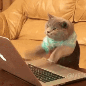 Hacking